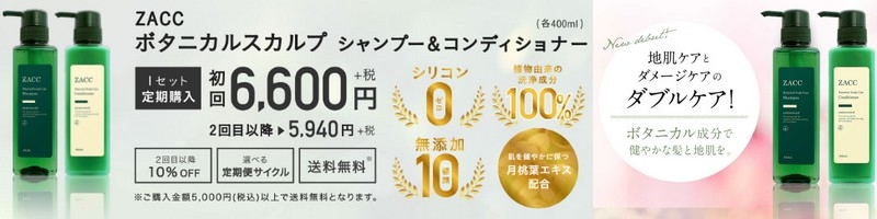 �\�Q�����e��ZACC�ďC�uZACC�{�^�j�J���V�����v�[�v���T�C�g